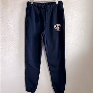 Pacsun Navy Logo Sweatpants